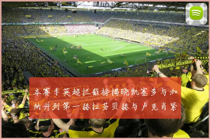 本赛季英超拦截榜揭晓凯塞多与加纳并列第一赫拉芬贝赫与卢克肖紧随其后