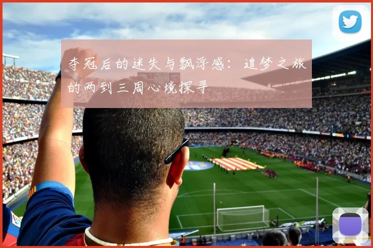 夺冠后的迷失与飘浮感：追梦之旅的两到三周心境探寻