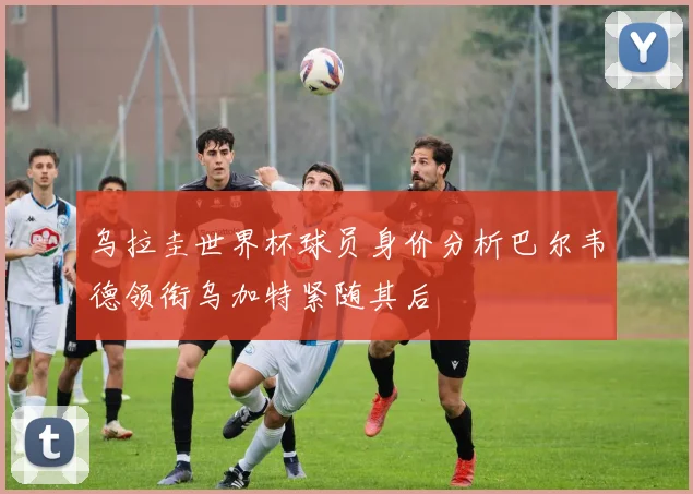 乌拉圭世界杯球员身价分析巴尔韦德领衔乌加特紧随其后