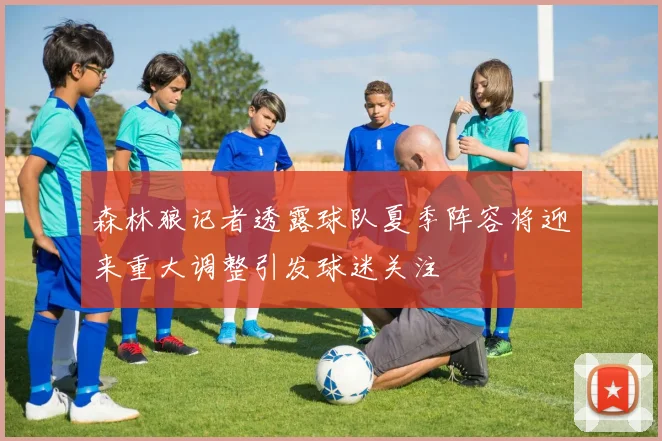 森林狼记者透露球队夏季阵容将迎来重大调整引发球迷关注