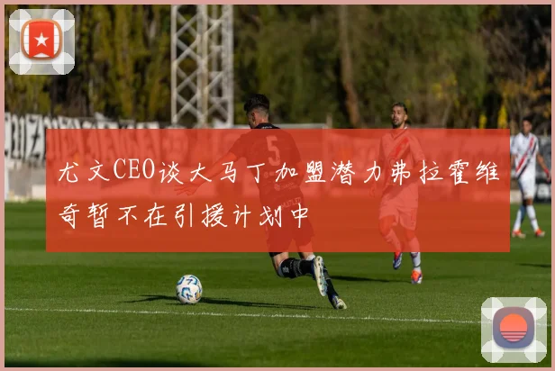 尤文CEO谈大马丁加盟潜力弗拉霍维奇暂不在引援计划中